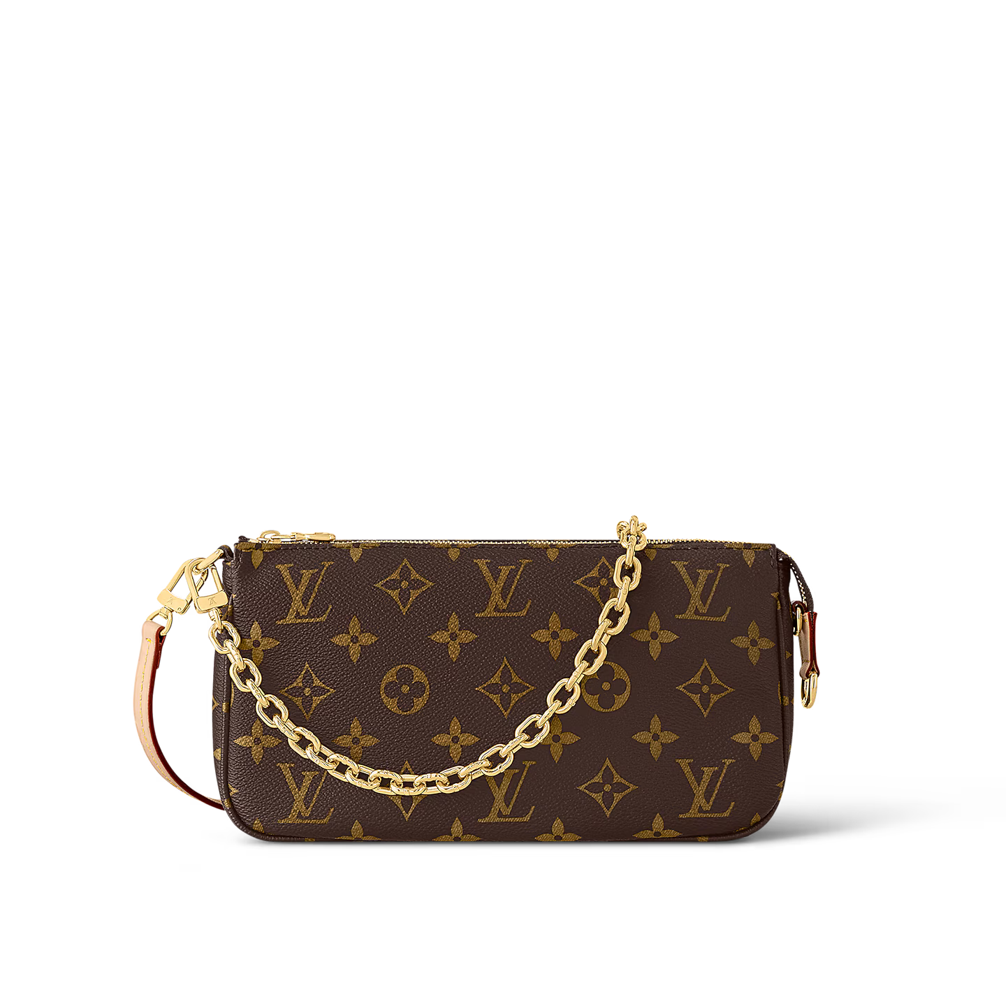 Louis Vuitton Pochette Accessoires Bag
