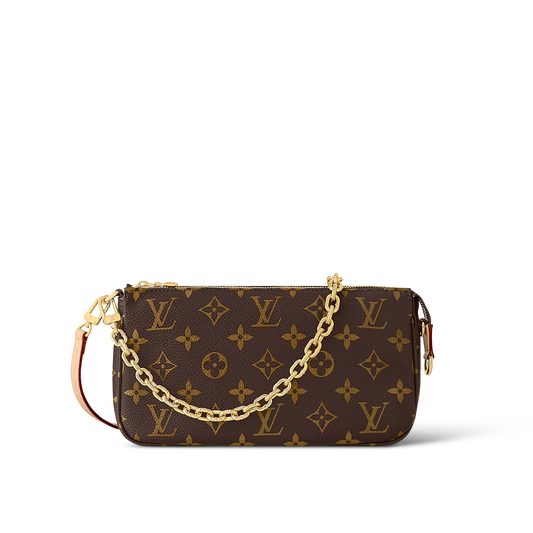 Louis Vuitton Pochette Accessoires Bag