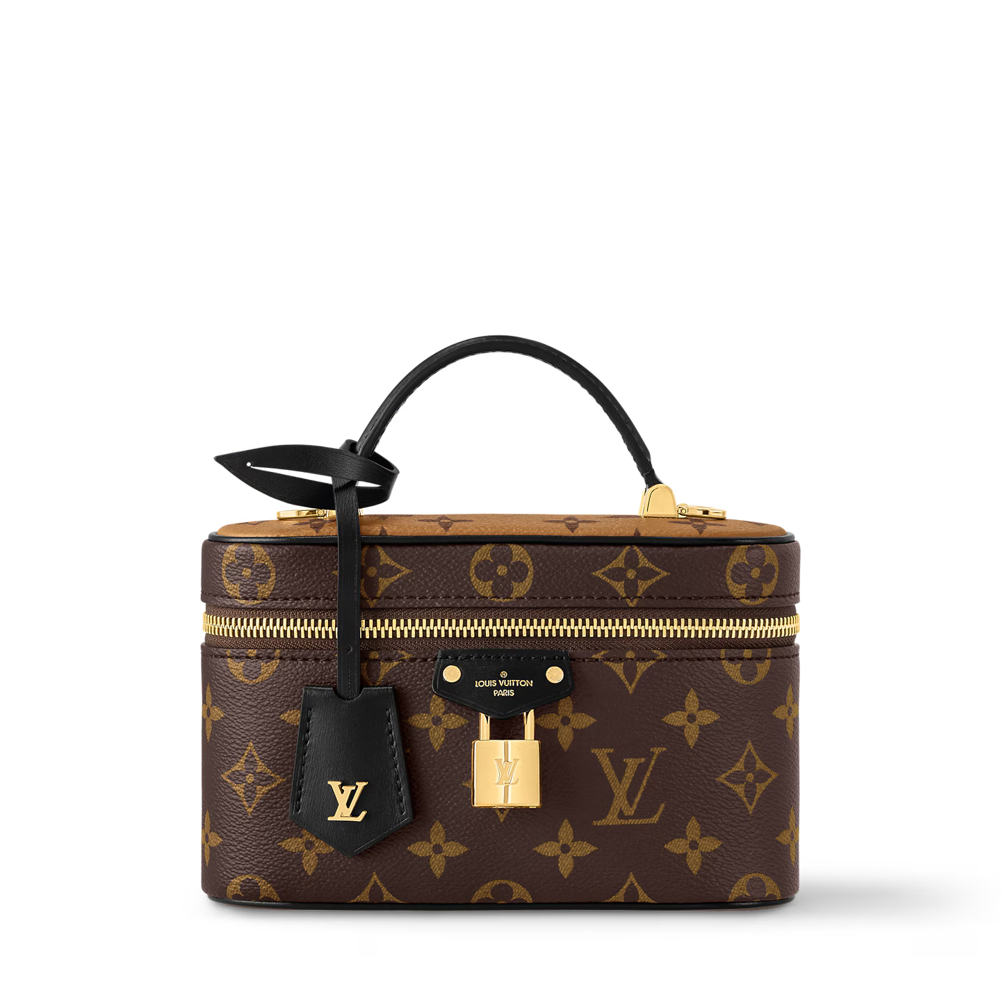 Louis Vuitton Vanity Chain Pouch Bag